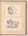 Druckgrafiken nach Charles Vernet, Pferdekopf; Pferd und spanischer Reiter, Inv. Nr.: Frankreic…