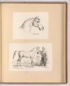 Druckgrafiken nach Charles Vernet, Pferdekopf; Pferd mit arabischem Reiter, Inv. Nr.: Frankreic…