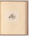 Druckgrafiken nach Charles Vernet, Pferdekopf, Inv. Nr.: Frankreich nach Sektionen II/67, F/II/…