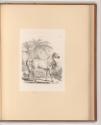 Druckgrafiken nach Charles Vernet, Murad Bey, Inv. Nr.: Frankreich nach Sektionen II/67, F/II/6…