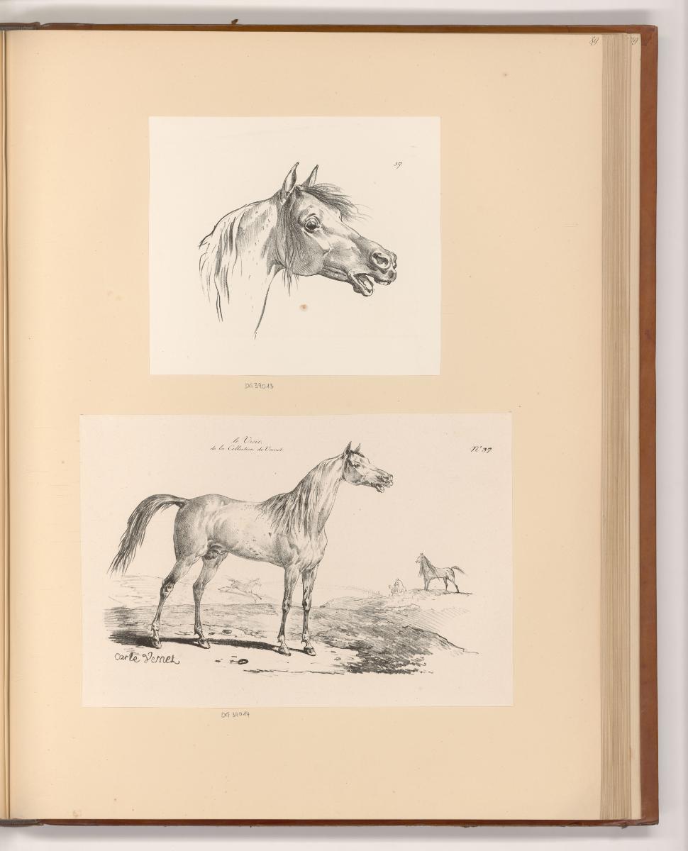 Druckgrafiken nach Charles Vernet, Pferdekopf; Landschaft mit Pferd, Inv. Nr.: Frankreich nach …