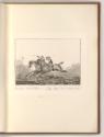 Druckgrafiken nach Charles und Horace Vernet, Pferd, Inv. Nr.: Frankreich nach Sektionen II/68,…