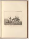 Druckgrafiken nach Charles und Horace Vernet, Pferd, Inv. Nr.: Frankreich nach Sektionen II/68,…