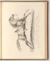 Druckgrafiken nach Charles und Horace Vernet, Etude de cheval arabe au galop, Inv. Nr.: Frankre…