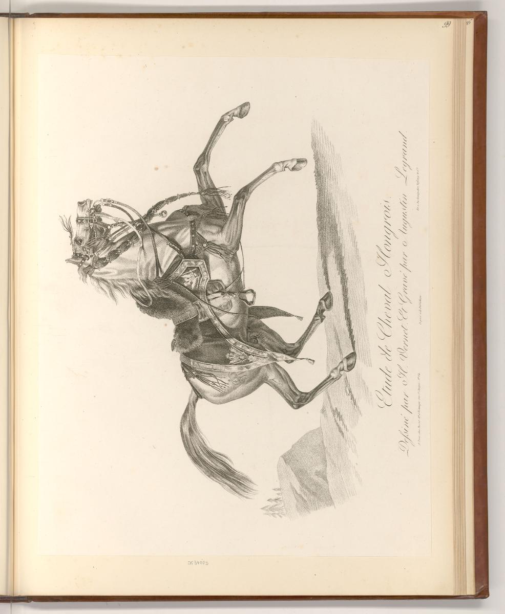Druckgrafiken nach Charles und Horace Vernet, Etude de cheval hongrois, Inv. Nr.: Frankreich na…