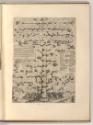 Jacques Callot, Radierungen von Jacques Callot, Der Stammbaum der Familie Turco, Inv. Nr.: Fran…