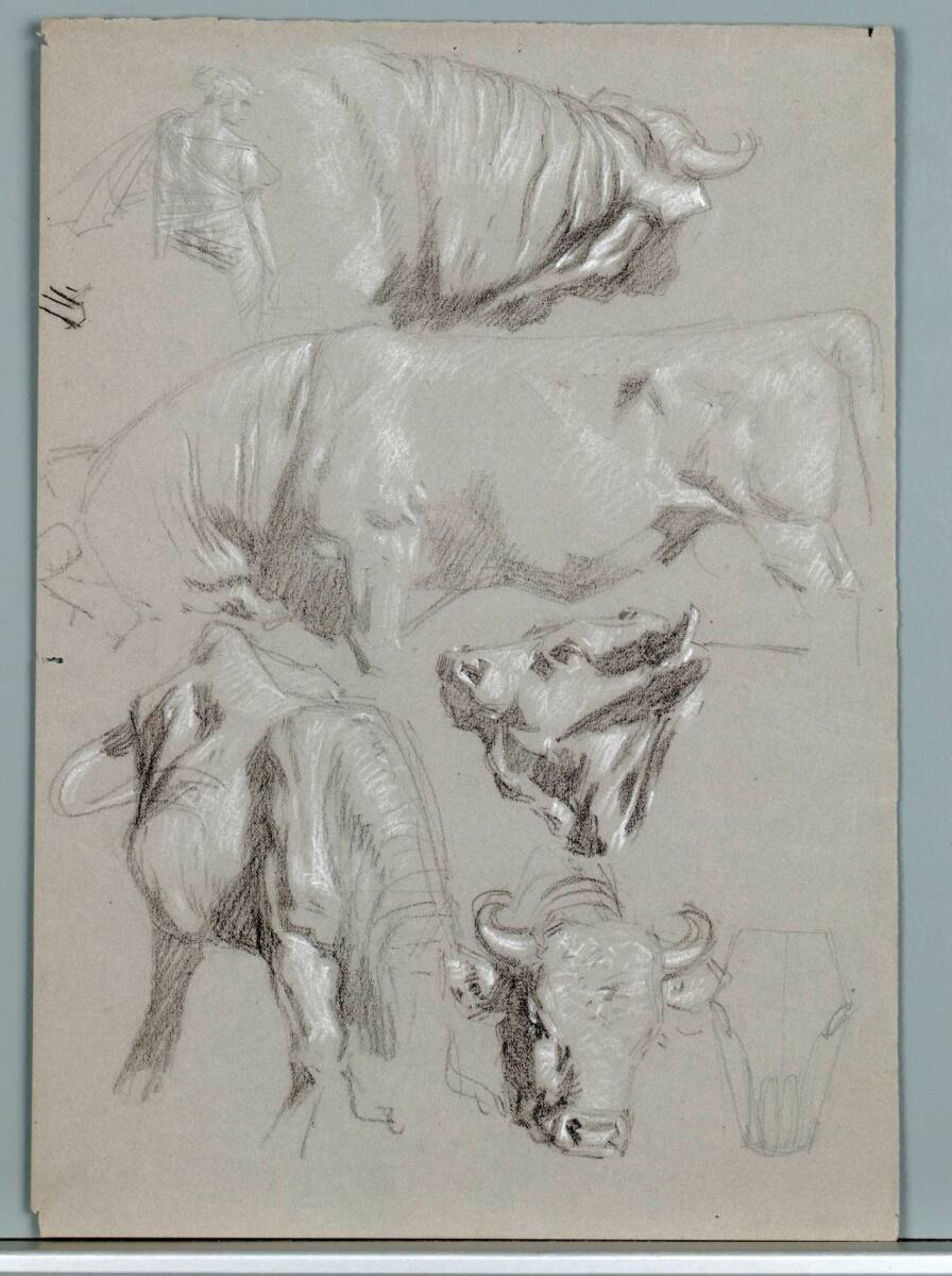 Sechs Rinderstudien, Alexander Rothaug