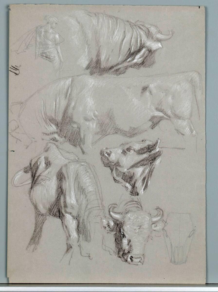 Alexander Rothaug, Sechs Rinderstudien, Inv. Nr.: 40658