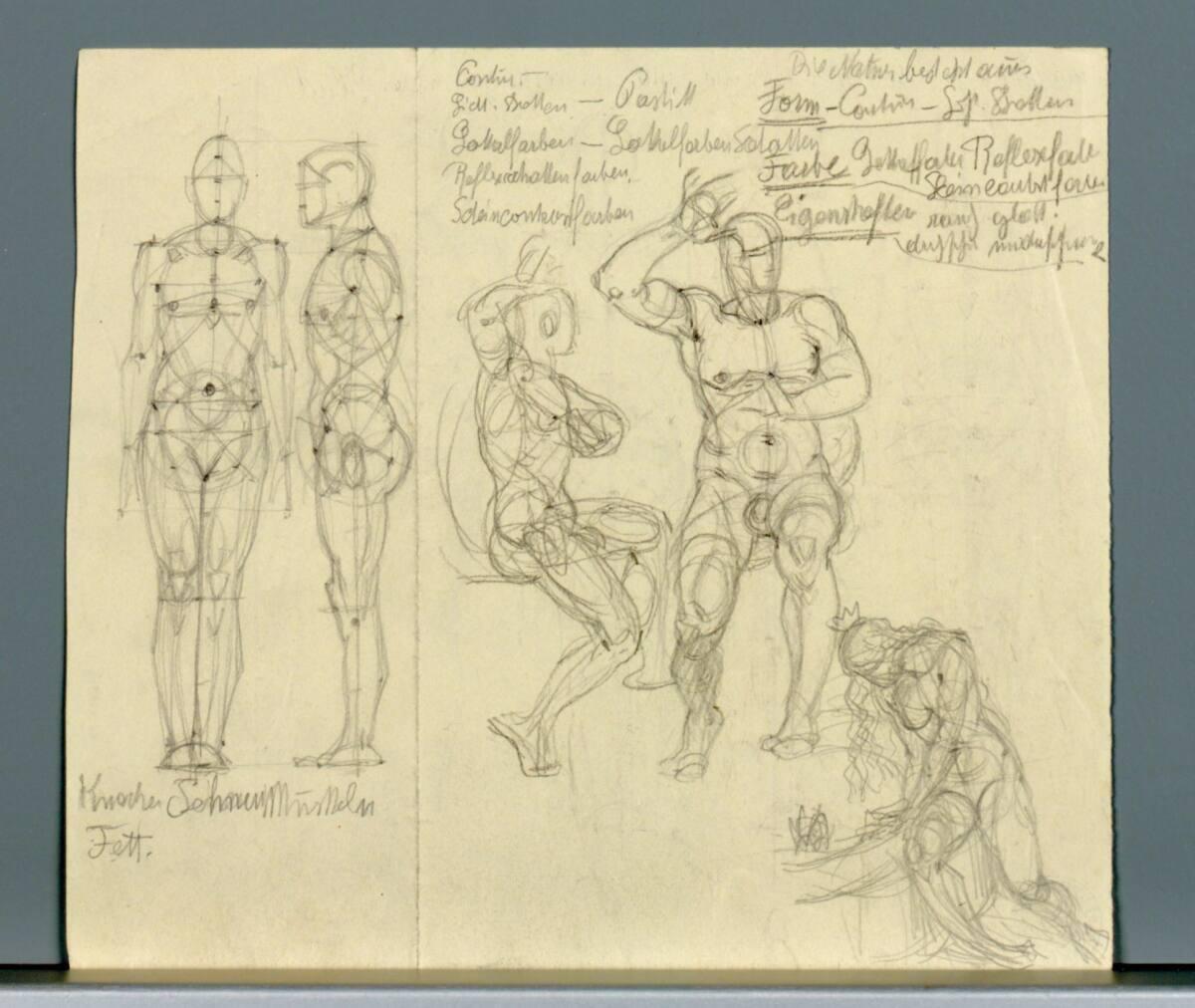 Alexander Rothaug, Diverse anatomische Studien, Inv. Nr.: 40684r