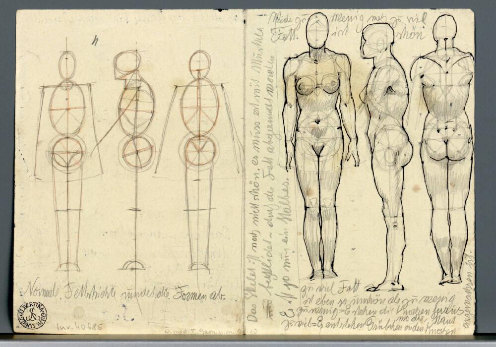 Alexander Rothaug, Diverse anatomische Studien, Inv. Nr.: 40685v
