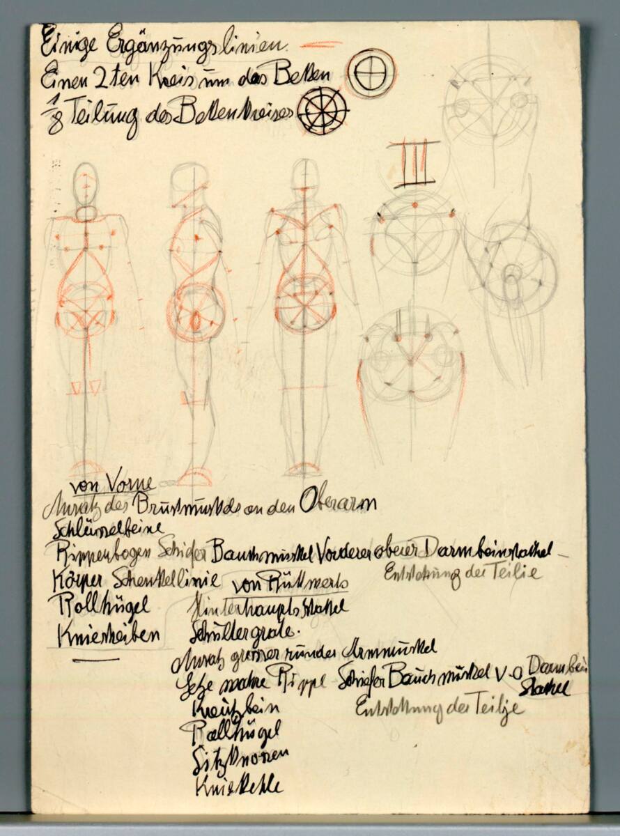 Verschiedene anatomische Studien, Alexander Rothaug