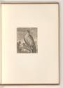 L. Bobrun. Nic. de Son. Nic. Robert. Mich. Dorigny. Cl. Goyrand. D. Barrière., Vögel, Inv. Nr.:…