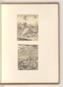 L. Bobrun. Nic. de Son. Nic. Robert. Mich. Dorigny. Cl. Goyrand. D. Barrière., Vögel, Inv. Nr.:…