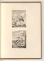 L. Bobrun. Nic. de Son. Nic. Robert. Mich. Dorigny. Cl. Goyrand. D. Barrière., Vögel, Inv. Nr.:…