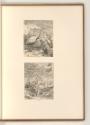 L. Bobrun. Nic. de Son. Nic. Robert. Mich. Dorigny. Cl. Goyrand. D. Barrière., Vögel, Inv. Nr.:…