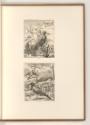 L. Bobrun. Nic. de Son. Nic. Robert. Mich. Dorigny. Cl. Goyrand. D. Barrière., Vögel, Inv. Nr.:…