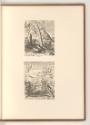 L. Bobrun. Nic. de Son. Nic. Robert. Mich. Dorigny. Cl. Goyrand. D. Barrière., Vögel, Inv. Nr.:…