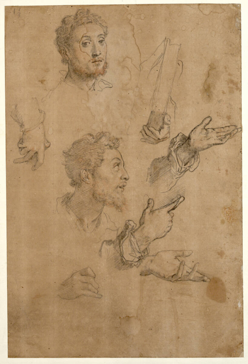 Zwei bärtige Köpfe im Profil nach rechts und fast von vorne; sechs Händestudien, Federico Zuccari