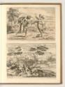Jean Pesne; Charles Macé, Krebs hindert Nymphe an der Flucht vor Zeus; Landschaft mit Satyr und…