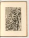 Jean Pesne; Charles Macé, Rachel verlässt Mesopotamien, Inv. Nr.: Frankreich nach Sektionen III…
