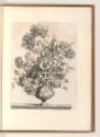 Nic. Loir; Nic. de Platte-Montagne; J. Damery; B. Monnoyer; A. Quesnel; J. Piquet; J. Estorges;…