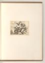 Nic. Loir; Nic. de Platte-Montagne; J. Damery; B. Monnoyer; A. Quesnel; J. Piquet; J. Estorges;…