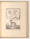 Sébastien Le Clerc, Vol. III., Gazelle mit anatomischen Studien, Inv. Nr.: Frankreich nach Sekt…