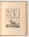 Sébastien Le Clerc, Vol. III., Gnu mit anatomischen Studien, Inv. Nr.: Frankreich nach Sektione…