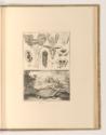 Sébastien Le Clerc, Vol. III., Schildkröte mit anatomischen Studien, Inv. Nr.: Frankreich nach …