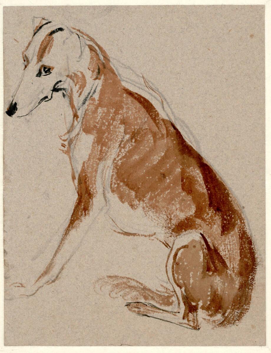 Johann Matthias Ranftl, Sitzender Hund, Inv. Nr.: 41170
