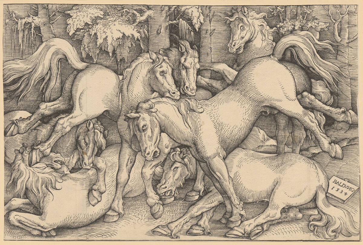 Kämpfende Hengste, Hans Baldung Grien, 1534