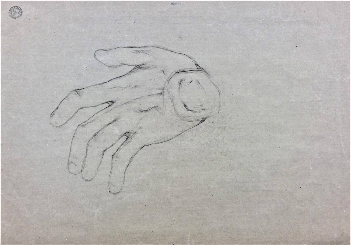 Handstudie, Cecil van Haanen