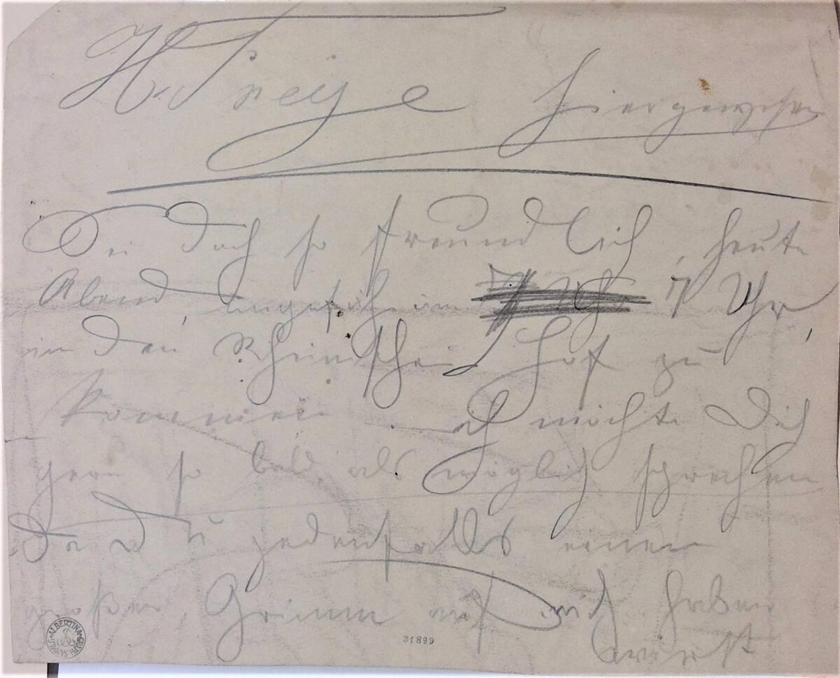 Cecil van Haanen, Schrift, Inv. Nr.: 31899v