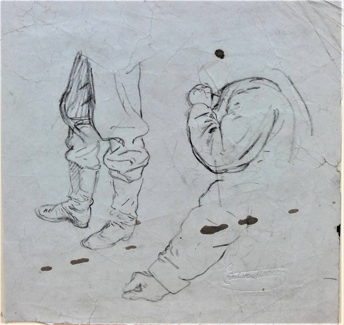Studienblatt, Cecil van Haanen