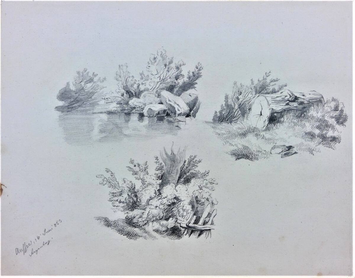 Aussee, Cecil van Haanen