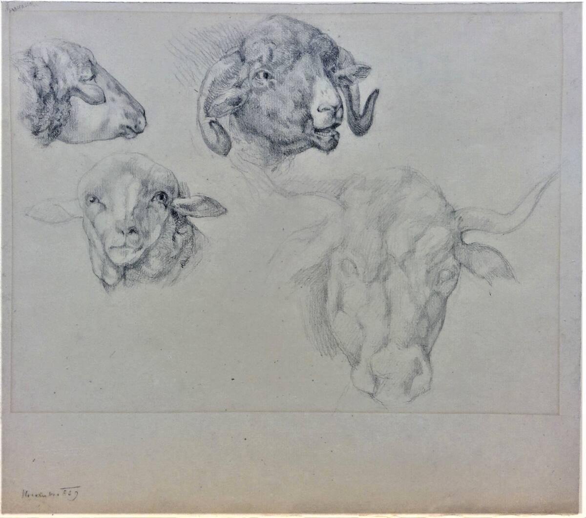 Cecil van Haanen, Studienblatt mit Tierköpfen, Inv. Nr.: 31708/46