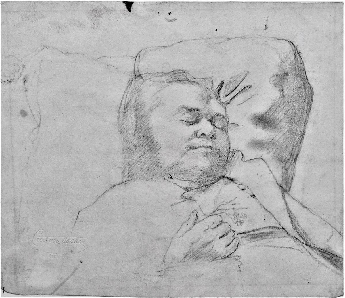 Schlafender, Cecil van Haanen