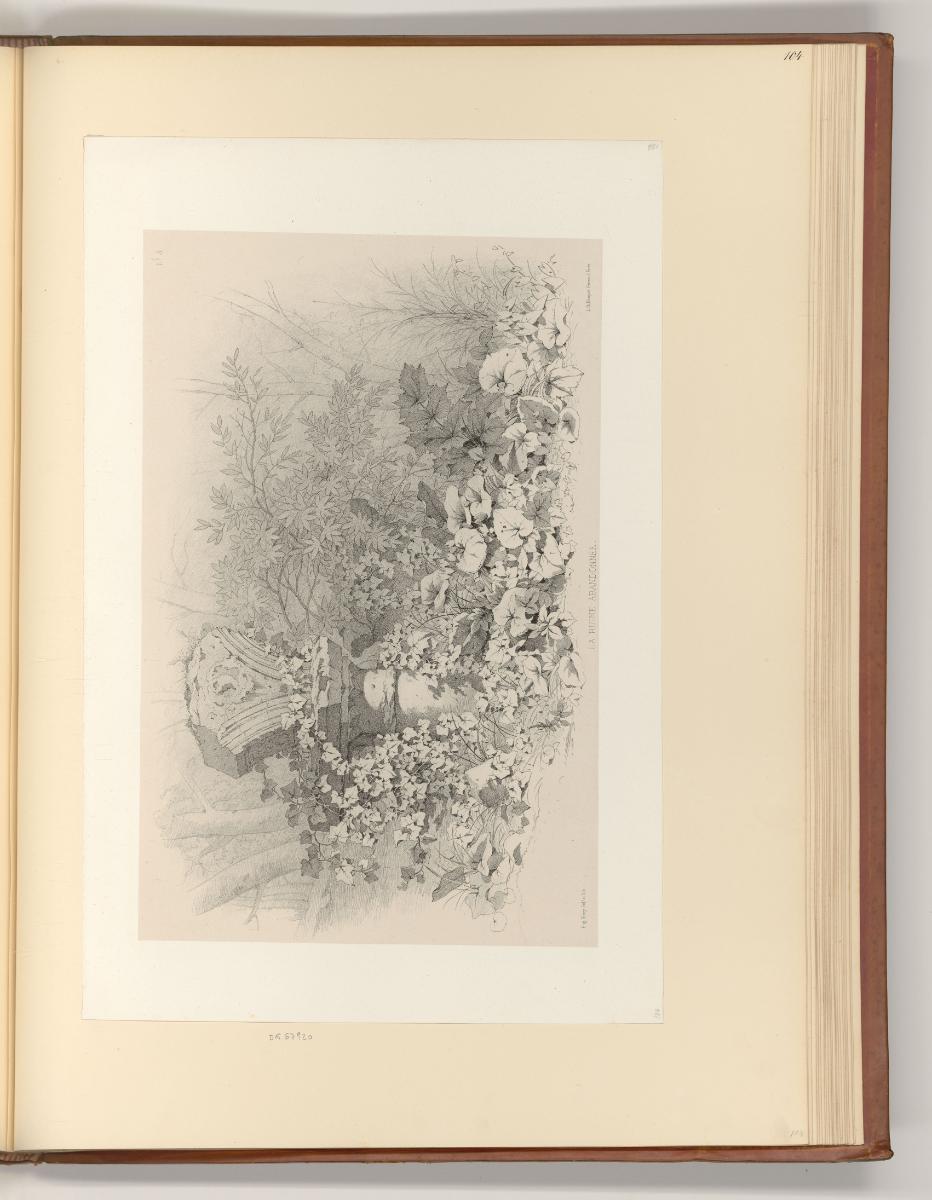 Eugène Bléry, Pflanzen, Inv. Nr.: Frankreich nach Sektionen III/41, F/III/41/104