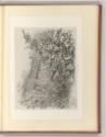 Eugène Bléry, Pflanzen, Inv. Nr.: Frankreich nach Sektionen III/41, F/III/41/119