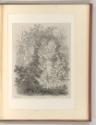 Eugène Bléry, Pflanzen, Inv. Nr.: Frankreich nach Sektionen III/41, F/III/41/120