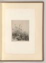 Eugène Bléry, Wiesenstück mit Distel, Inv. Nr.: Frankreich nach Sektionen III/41, F/III/41/32