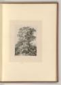 Eugène Bléry, Waldlandschaft mit Fels, Inv. Nr.: Frankreich nach Sektionen III/41, F/III/41/39