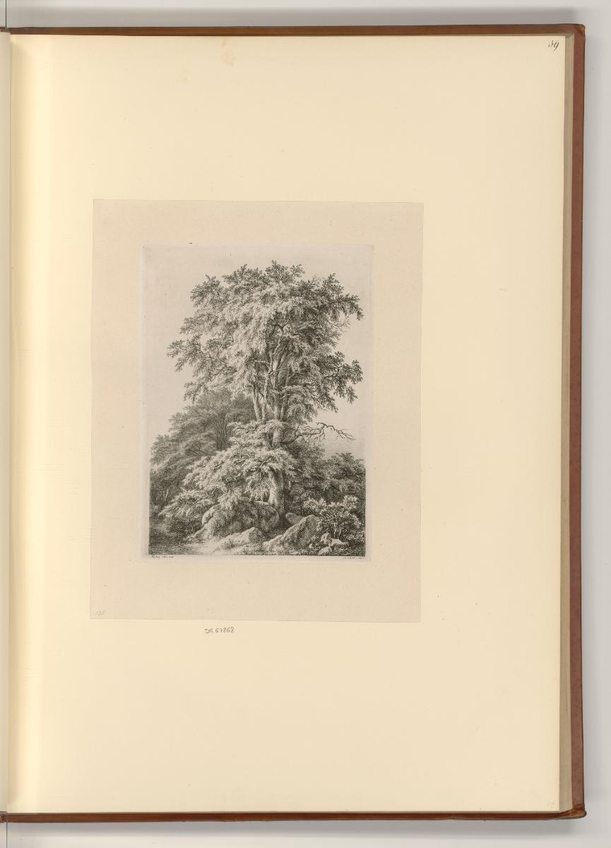 Eugène Bléry, Waldlandschaft mit Fels, Inv. Nr.: Frankreich nach Sektionen III/41, F/III/41/39