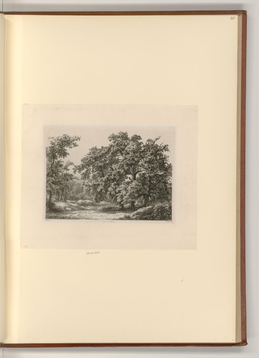 Eugène Bléry, Baumgruppe, Inv. Nr.: Frankreich nach Sektionen III/41, F/III/41/40