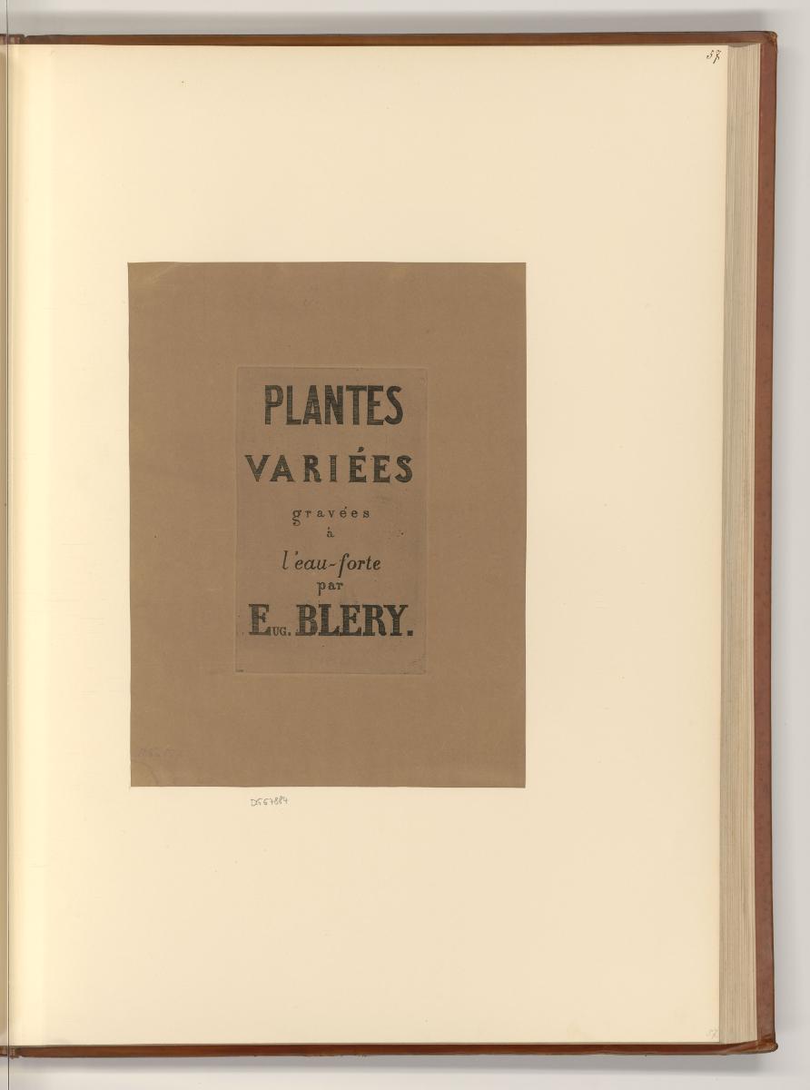 Eugène Bléry, Titelblatt, Plantes Variées gravées á l'eau-forte par Eug. Blery, Inv. Nr.: Frank…
