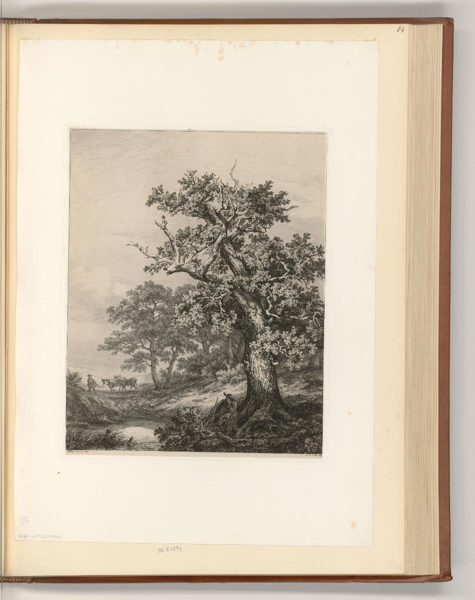 Eugène Bléry, Die große Eiche, Inv. Nr.: Frankreich nach Sektionen III/41, F/III/41/64