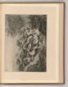Eugène Bléry, Pflanzen, Inv. Nr.: Frankreich nach Sektionen III/41, F/III/41/69
