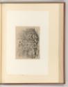 Eugène Bléry, Pflanzen, Inv. Nr.: Frankreich nach Sektionen III/41, F/III/41/86