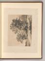 Alexandre Calame; Charles Emile Jacque; Honoré Daumier, Landschaft mit Kastanienbäumen, Inv. Nr…