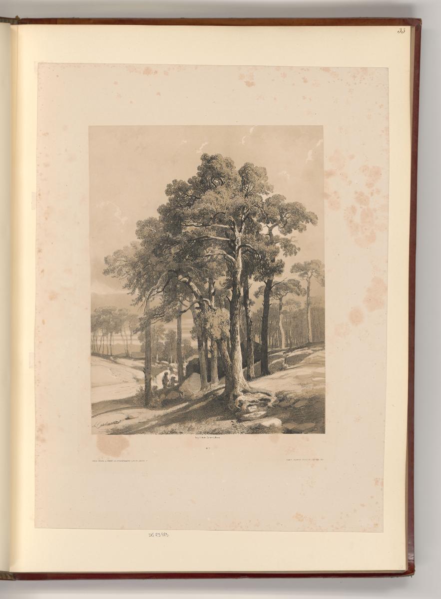 Alexandre Calame; Charles Emile Jacque; Honoré Daumier, Landschaft mit Pinien, Inv. Nr.: Frankr…